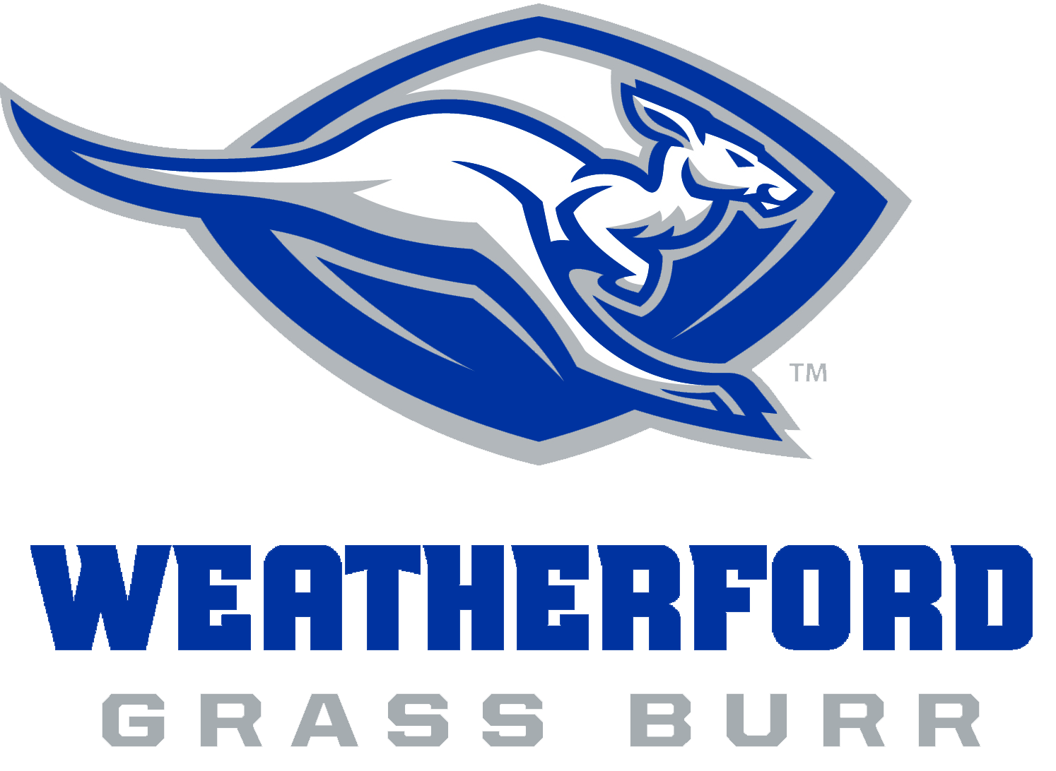 2021 Varsity Football Schedule Announced  Weatherford Independent School  District